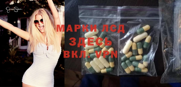 ГАЛЛЮЦИНОГЕННЫЕ ГРИБЫ Няндома