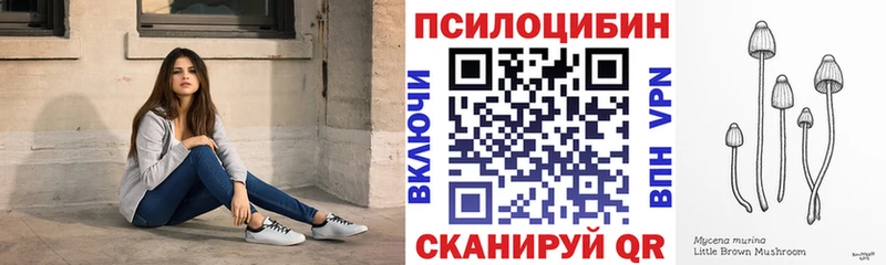 где купить   Ялуторовск  Галлюциногенные грибы GOLDEN TEACHER 