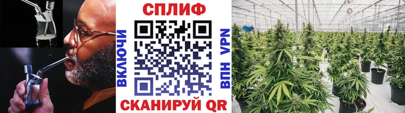 где можно купить   Ялуторовск  Канабис планчик 