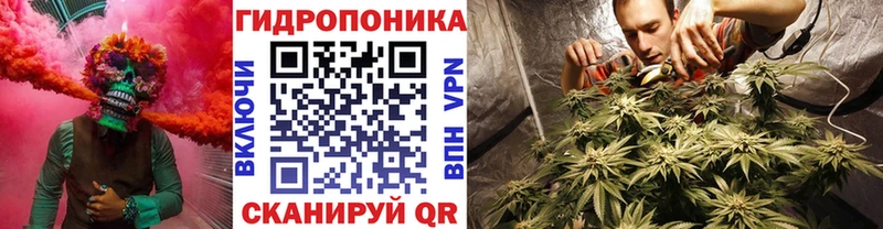 Каннабис OG Kush Ялуторовск